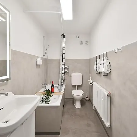 Bright & Cozy 2-room Comfort In Center With Kitchen, Free Wifi * Wuppertal